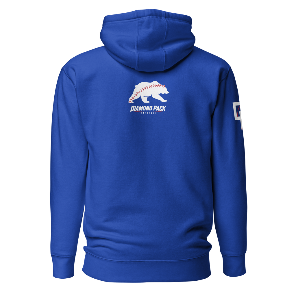 Bear Seams Wild Premium Relaxed Hoodie - Team Royal - Back