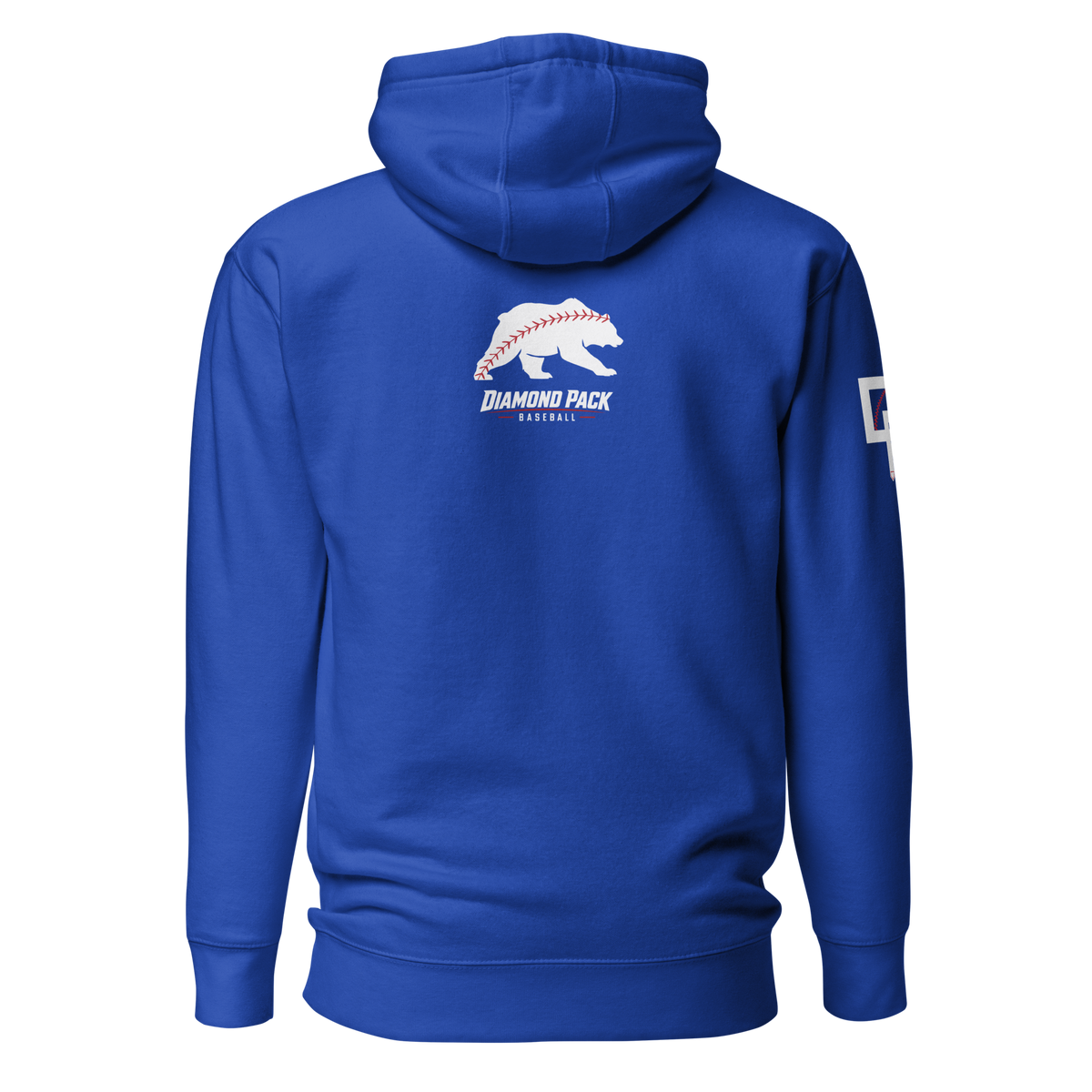 Bear Seams Wild Premium Relaxed Hoodie - Team Royal - Back