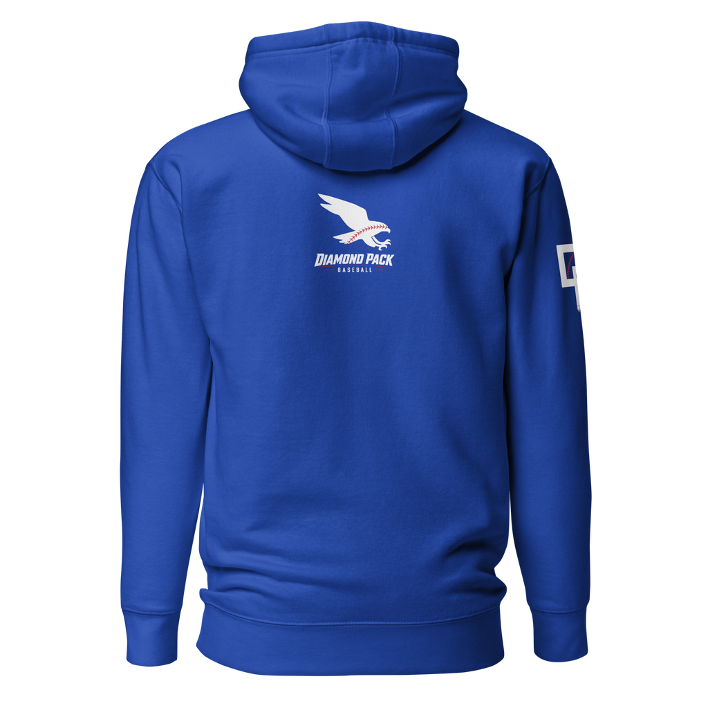 Hawk Seams Wild Premium Relaxed Hoodie - Team Royal - Back