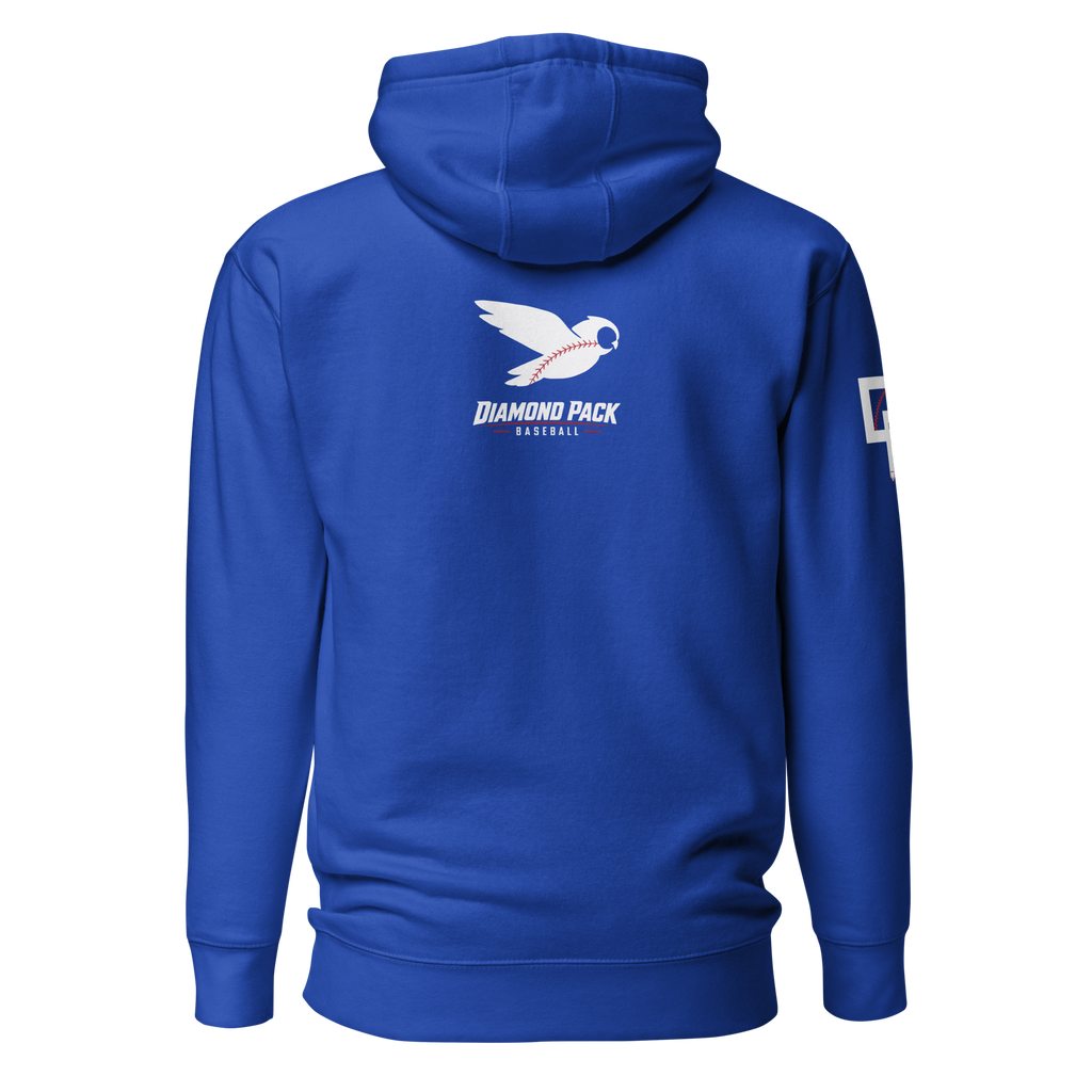 Owl Seams Wild Premium Relaxed Hoodie - Team Royal - Back