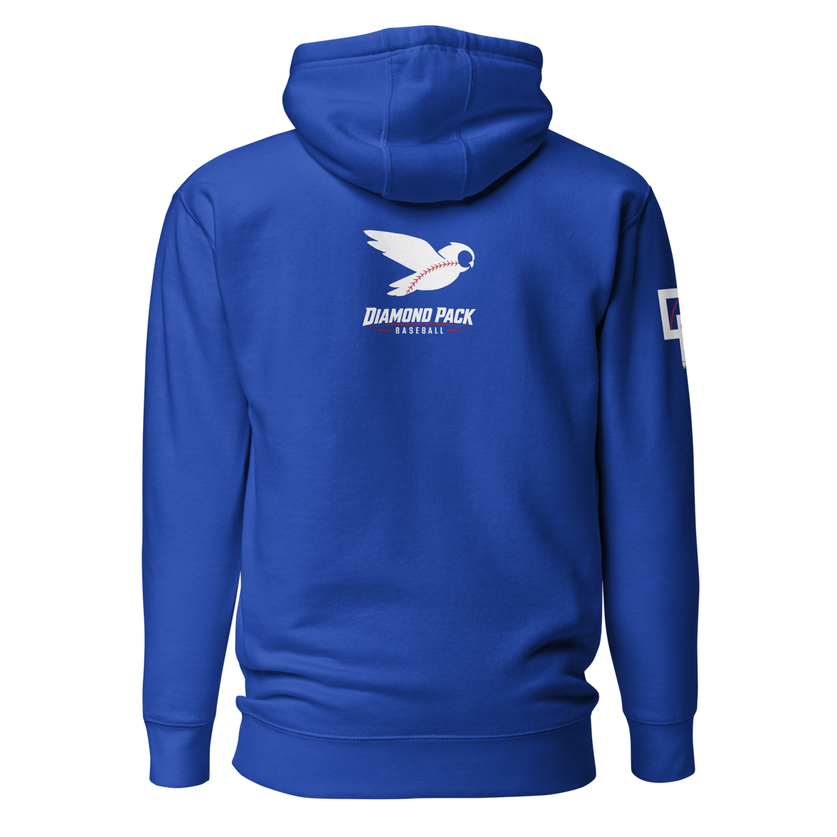 Owl Seams Wild Premium Relaxed Hoodie - Team Royal - Back
