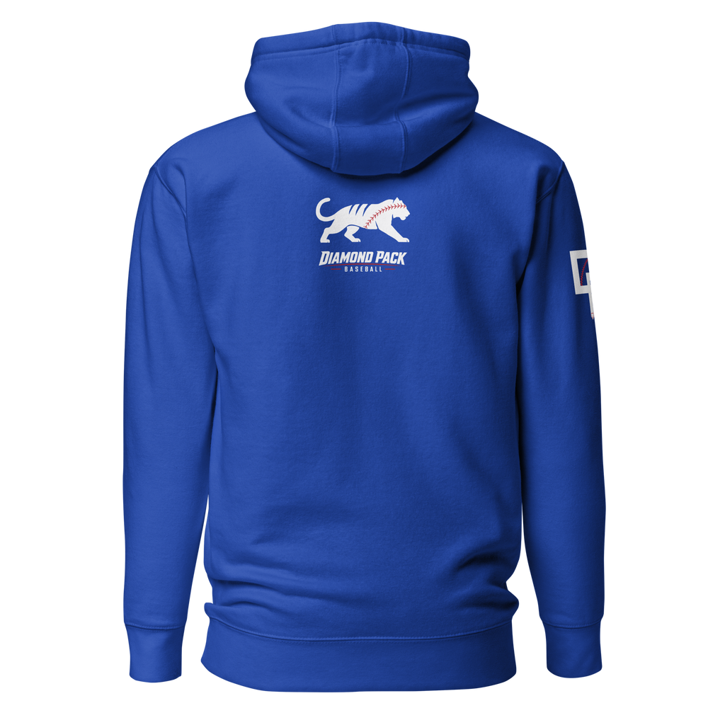 Tiger Seams Wild Premium Relaxed Hoodie - Team Royal - Back