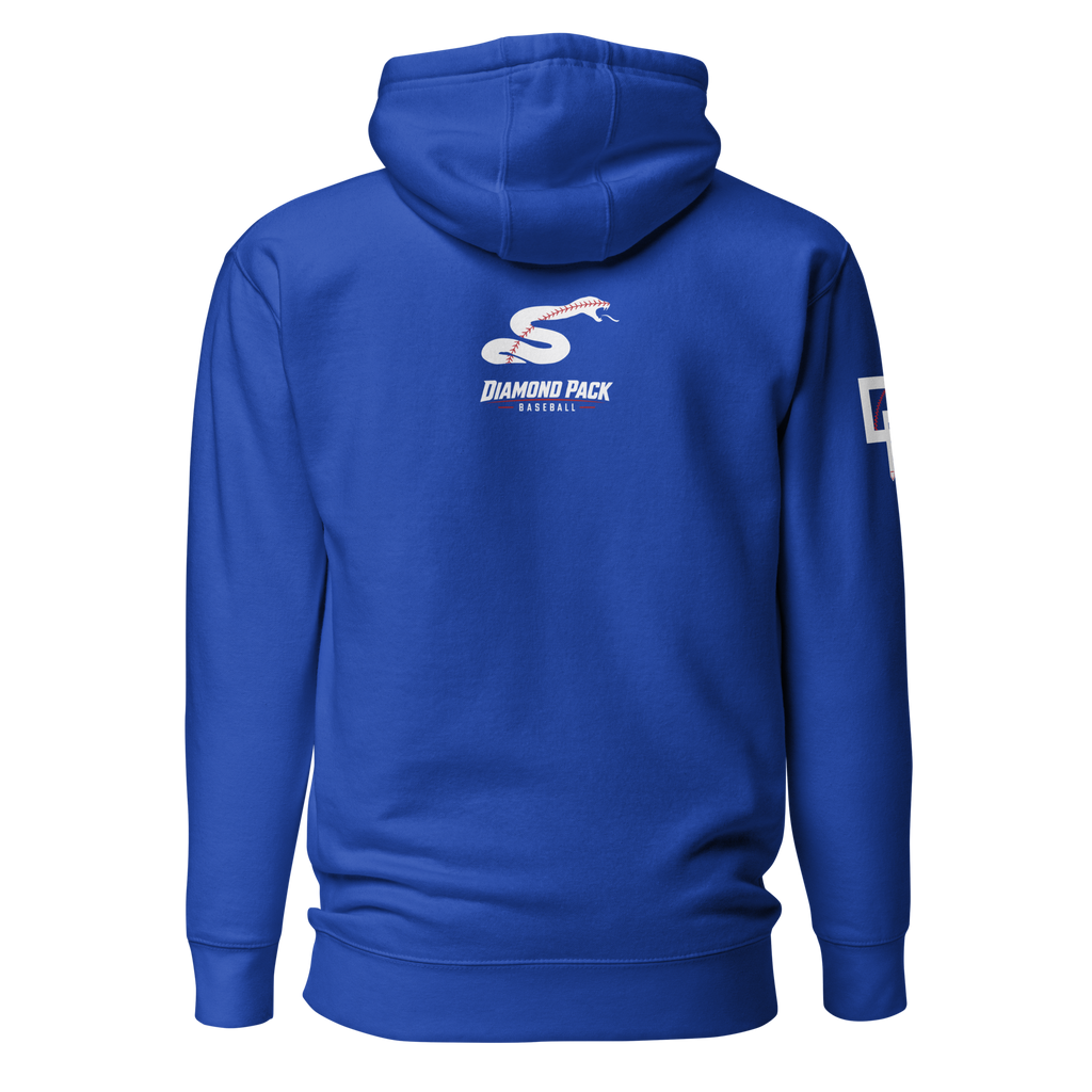 Viper Seams Wild Premium Relaxed Hoodie - Team Royal - Back