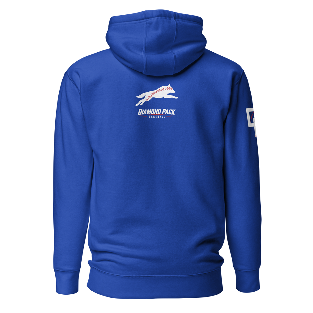 Wolf Seams Wild Premium Relaxed Hoodie - Team Royal - Back